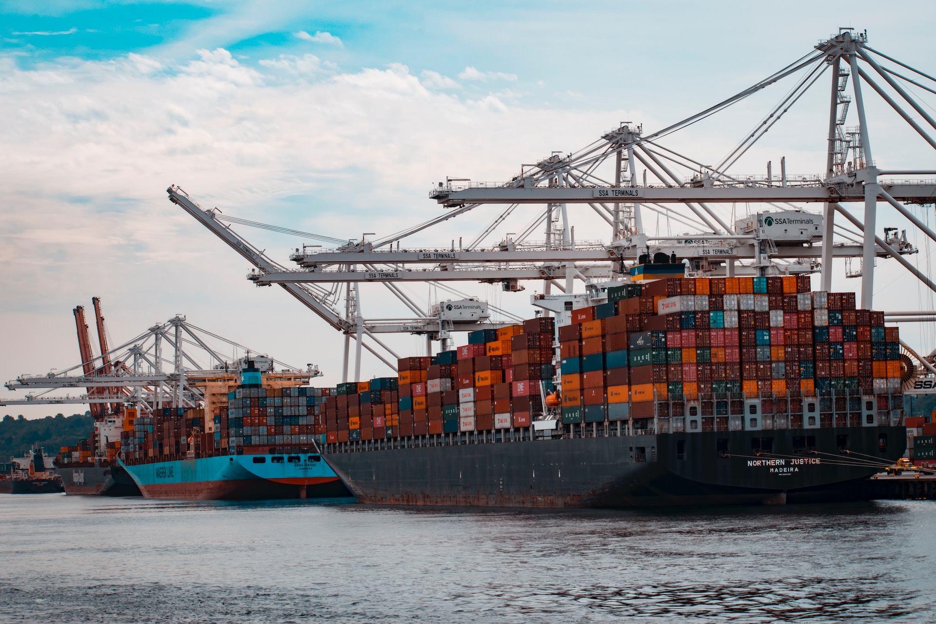 Export company in India